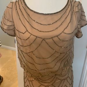 Adrianna Papell floor length gown size 6p